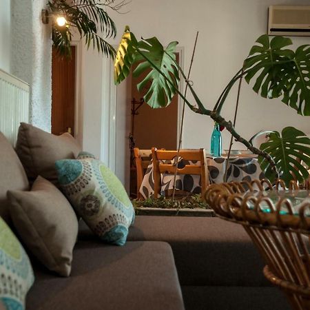 Paradise View Apartment PalaiónTsiflíkion المظهر الخارجي الصورة
