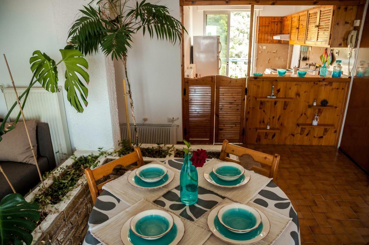 Paradise View Apartment PalaiónTsiflíkion المظهر الخارجي الصورة
