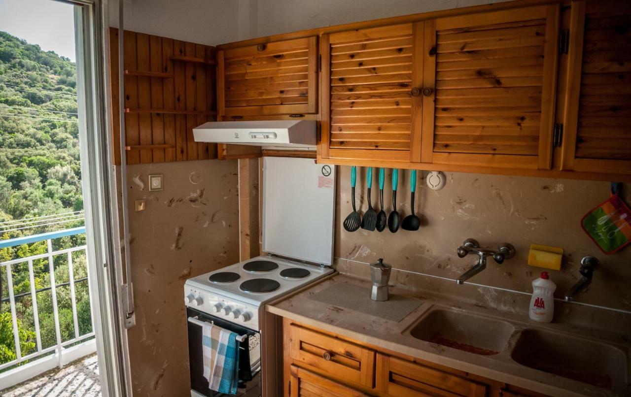 Paradise View Apartment PalaiónTsiflíkion المظهر الخارجي الصورة