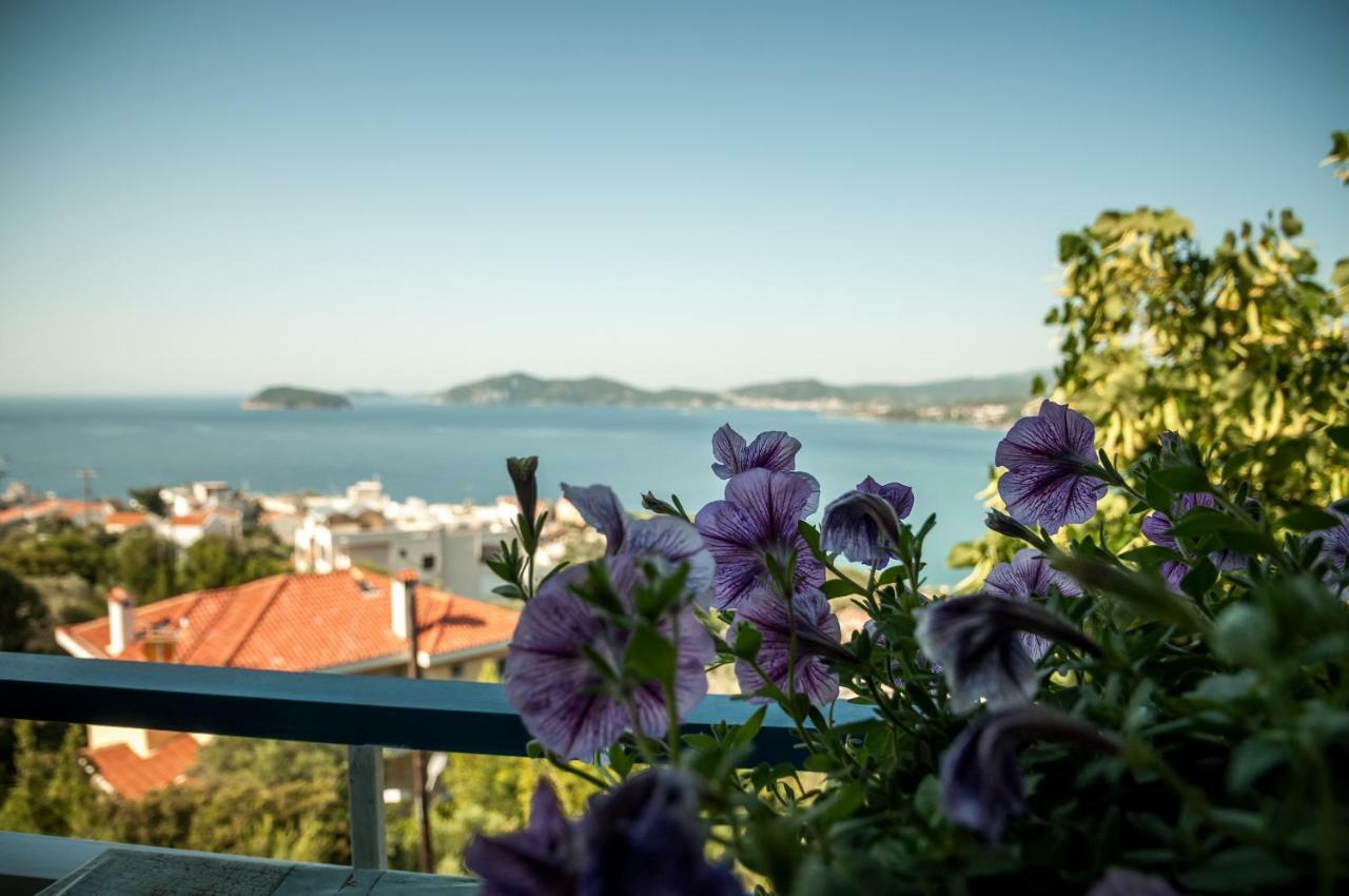 Paradise View Apartment PalaiónTsiflíkion المظهر الخارجي الصورة